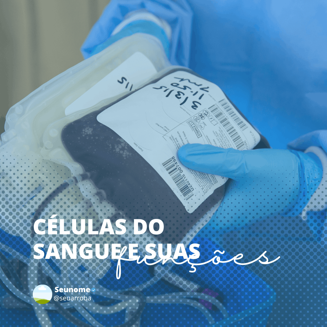 Hospital Canva Bundle