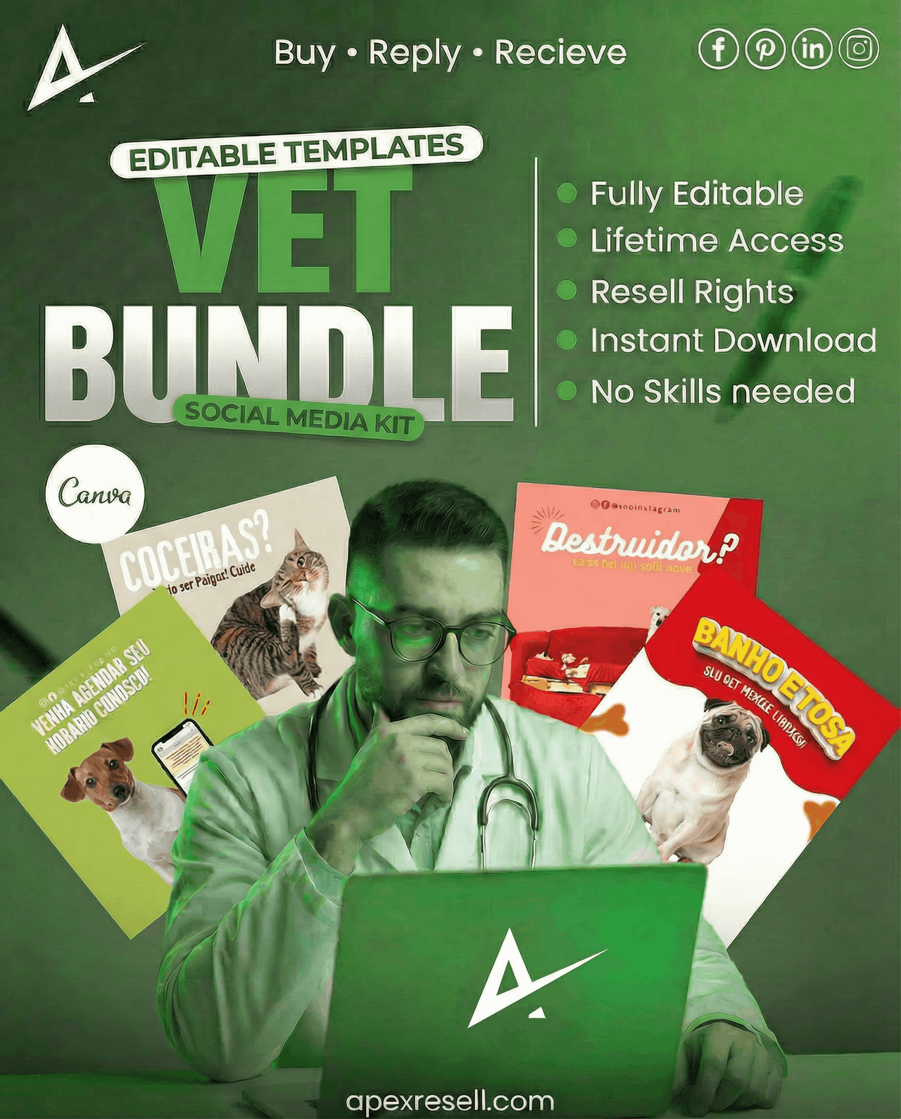 Vet Canva Bundle